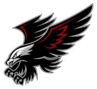 Black Hawk Security & Investigations